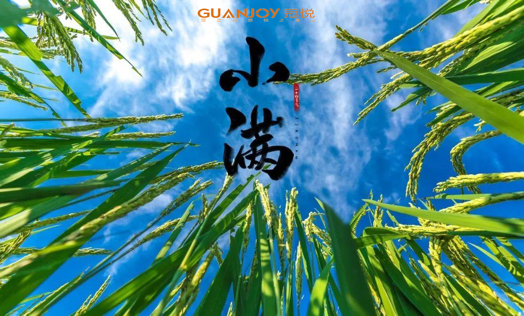 思源醫(yī)療教你小滿怎樣養(yǎng)生！