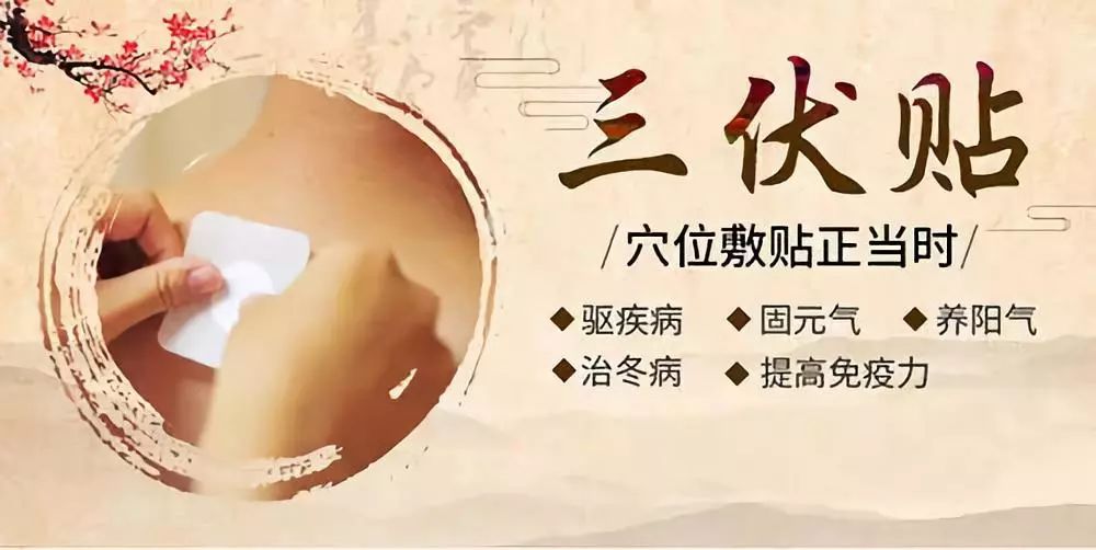 關(guān)于三伏貼，你了解多少呢？