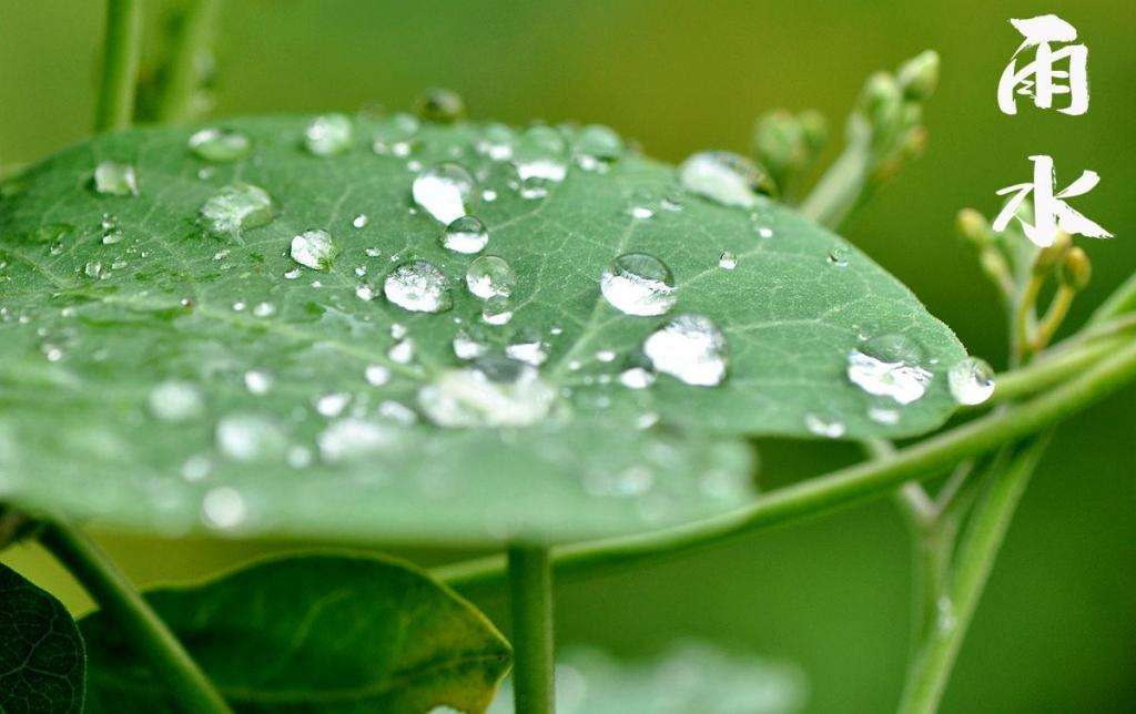 雨水！
